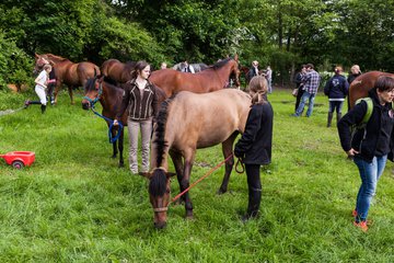 Bild 197 - Reitschule Jan�en Jubil�um